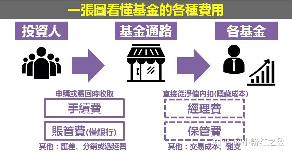 借势破局，“串”起湛江海岛游